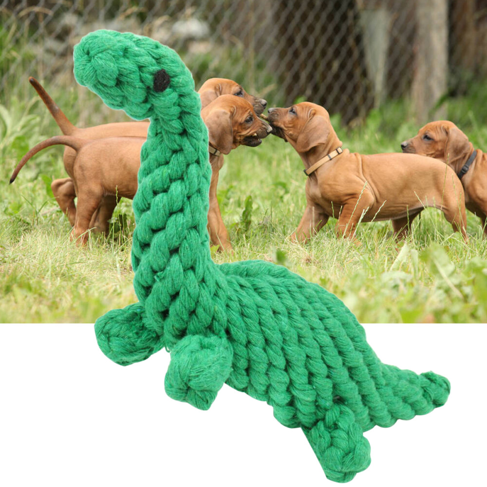 Dog Toys Dinasaure Small-headed Toothbrush Dinosaur Rope Pet
