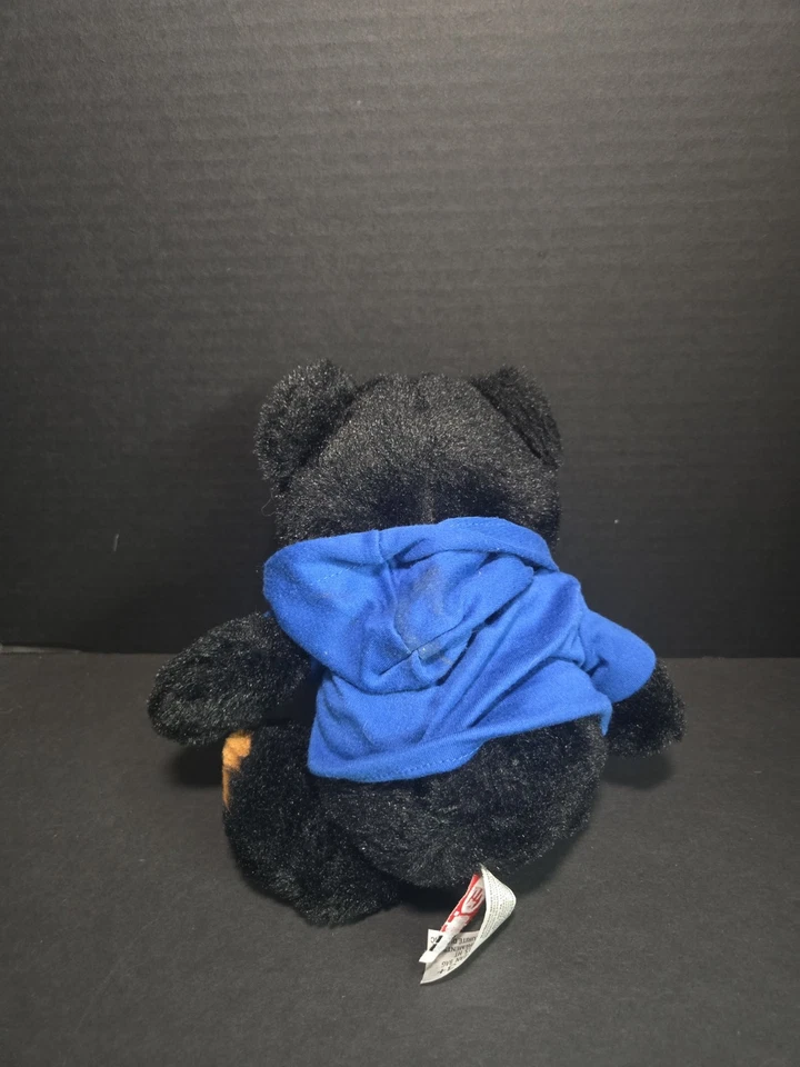 Fiesta Black Bear Plush 14" Stuffed Animal Toy Lake Compounce Removable Sweater - Image 3 of 4
