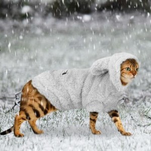 cat parka coat