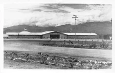 New Guinea No 8 thin film stock Real Photo RPPC