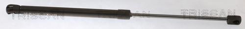 Gasfeder Heckklappen Kofferraum DäMpfer 380N 454Mm FüR Hyundai I20 Active GB-image