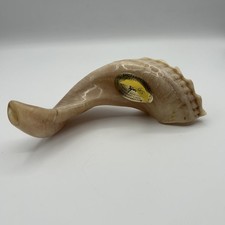 New Jewish Kosher Ram  s Horn Shofar 9" Made in Israel by Shofarot Israel