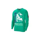 Sweatshirts Universal Men Nike Jordan Winter Utility CT3491370 Green