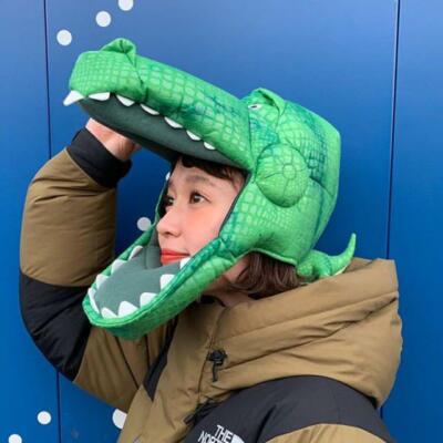 Toy Story Rex Fan Cap Tokyo Disney 