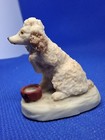 Vintage Arista of Scotland Hawick Miniature Apricot Poodle Hungry Dog Figurine — photo 2