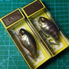 Raid Japan Gorilla Real Kinkuro Chigil