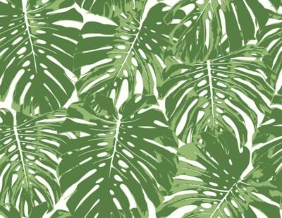 Wallpaper Designer Large Green Tropical Leaf on Eggshell White