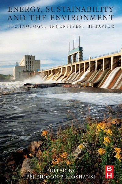 Fereidoon Perry Sioshansi | Energy, Sustainability And The Environment | Buch-image