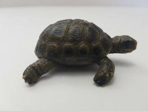 schleich turtle