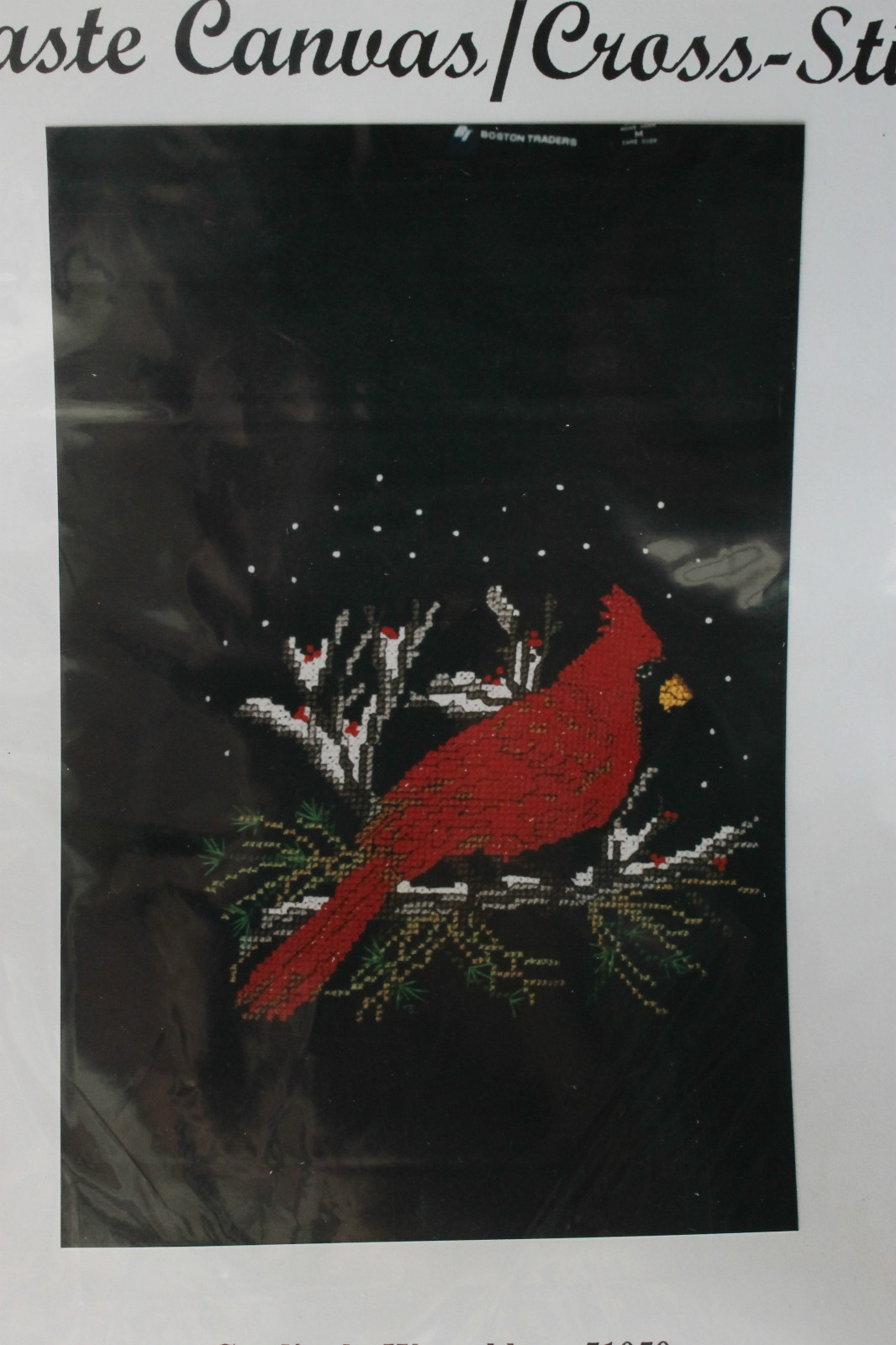 CANDAMAR Counted Cross Stitch Waste Canvas Kit INCLUDES MD FLEECE SHIRT