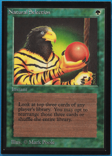 Natural Selection Collectors' Edition - International NM CARD (501678) ABUGames