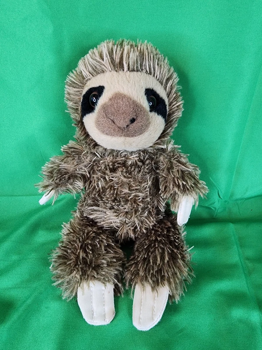 Adventure planet sales sloth