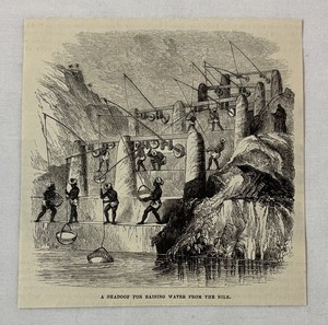 1877 magazine engraving ~ SHADOOF RAISING WATER FROM THE NILE Egypt
