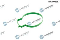 Dr. Motor Automotive DRM02907 Dichtung, Drosselklappe FüR Ford,Volvo