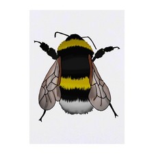 'Bee' Temporary Tattoos / Transfers TO00032227 