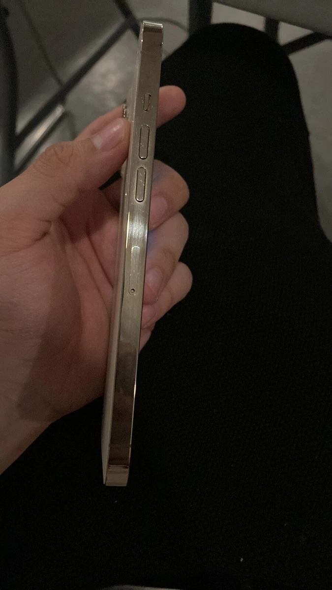 Apple iPhone 12 Pro Max - 256GB - Gold (Unlocked) (CA) Clean IMEI