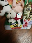 Foto 5 di 8