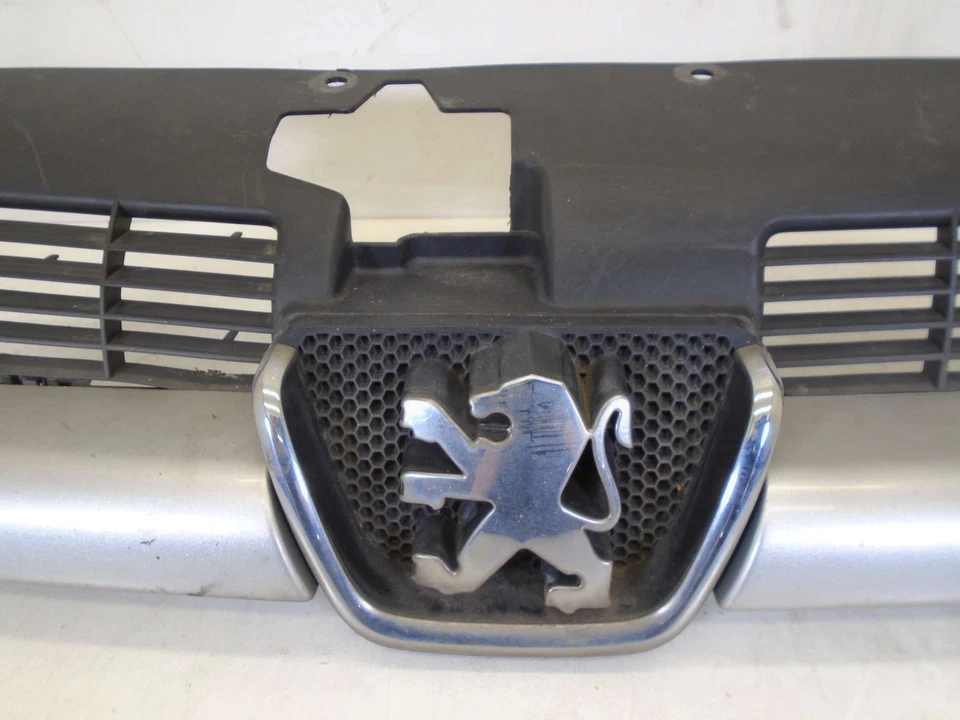 PEUGEOT 206 PARRILLA DELANTERA E PLACA 9628691277 1998-2008 Foto 4 de 4