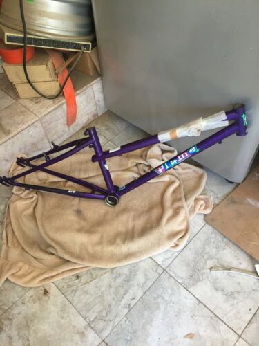 SHIPPING POSSIBLE GT FLAME MOUNTAIN TRAIL BICYCLE BIKE FRAME NEW USA 22 INCH OEM - Picture 1 of 12