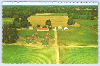 lake erie tobacco Postcard Ontario Canada Tobacco Farm Greetings From Long Point Beach Lake  Erie