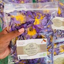 Blue Lotus Flower Egyptian Nymphaea Caerulea Premium Dried Organic Flowers Tea