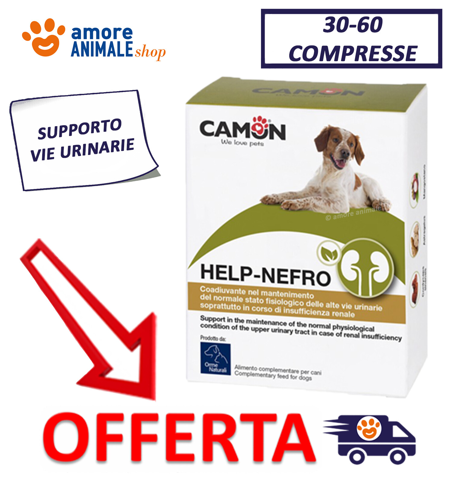 Foto 1 di 3