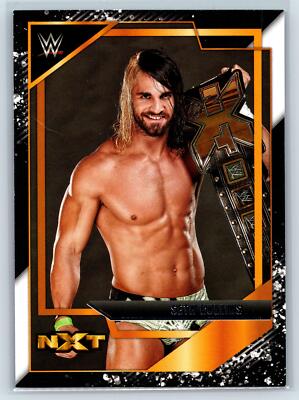 ☆*:.。.Rollins.。.:*☆ Seth Rollins - WWE Ultimate Edition 17 Ringside Exclusive