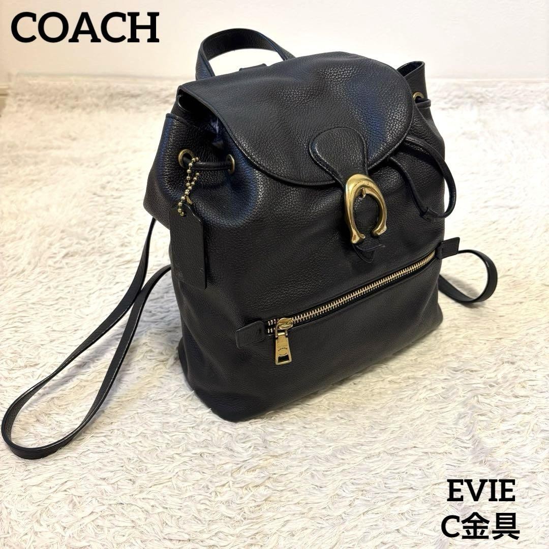 COACH Eve Leather Backpack 68380 in Premium Quality