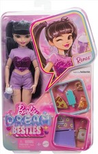 Barbie Dream Besties Renee Fashion Doll with Accessories