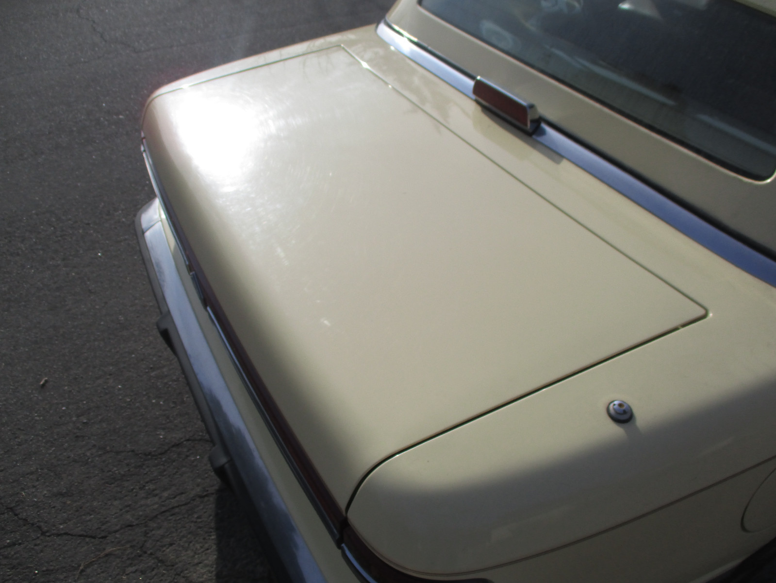 Trunk Lid  Chrysler MASERATI TC 89 90 91