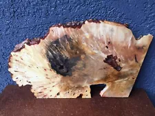 Buckeye Burl Natural Edge Slab Crafts Turning   7/8" x 12" x 18"  #1062