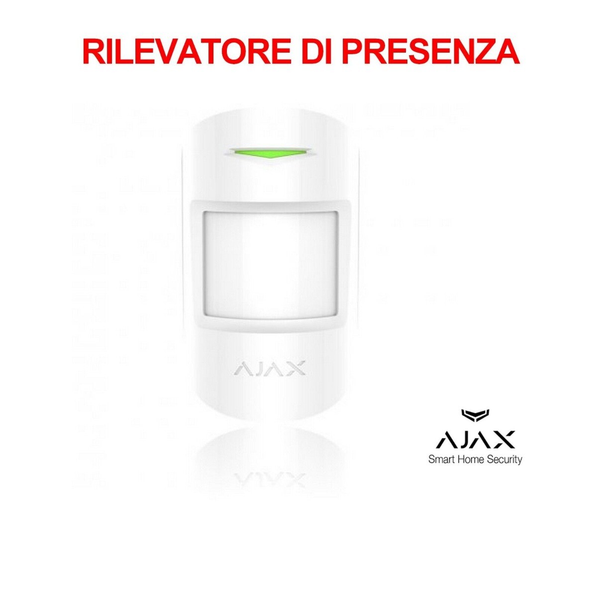 Foto 5 di 6