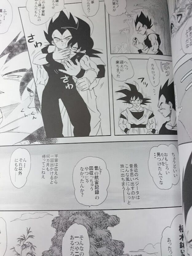 USED) Doujinshi - Dragon Ball / Turles x Goku (Sweet&Bitter) / GREFREE