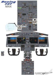 Cockpit Boeing 737 | eBay