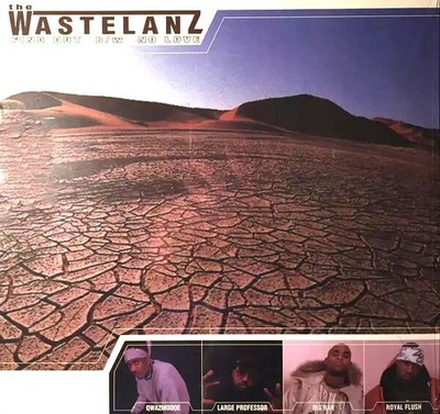The wastelanz - Find Out / No Love Vinyl (Neu ) Origiginal LP Record  Vinyl 12''