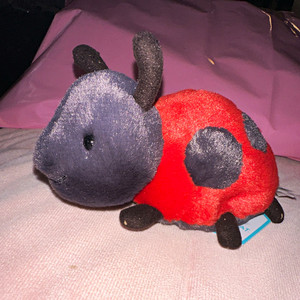  ♡ Layla Ladybird 廃盤 ♡ Layla Ladybird 廃盤 Layla Ladybird Jellycat | Jelly Journal