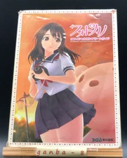 Photokano Official Complete Guide from japan