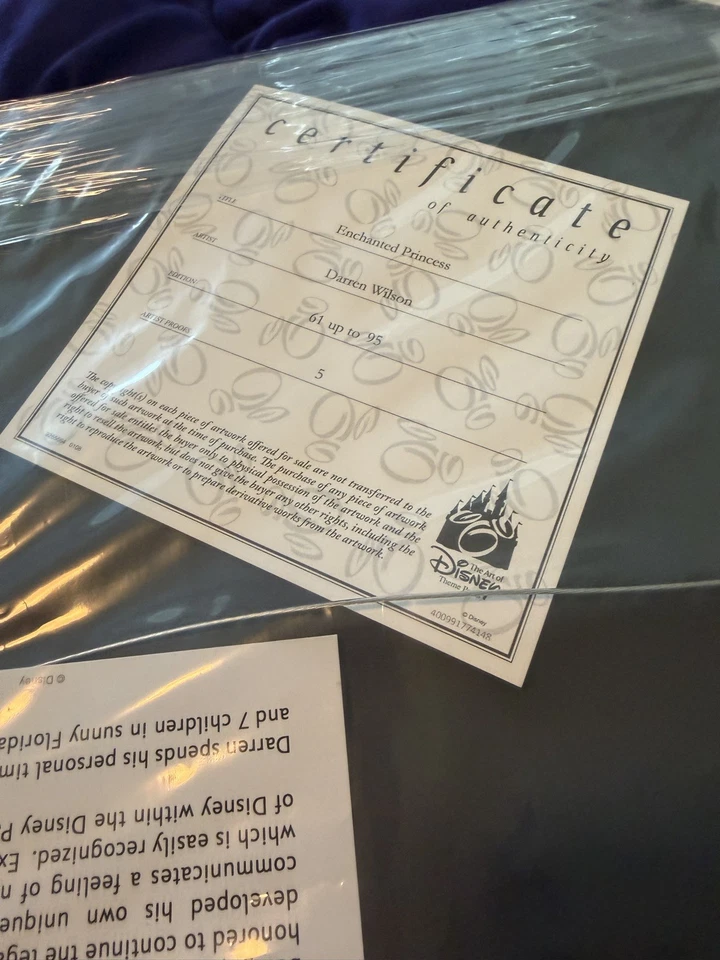 Cuadro Darren Wilson "Princesa Encantada" 61/95 Foto 2 de 4