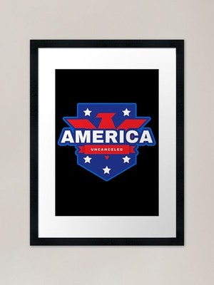 Adler mit amerikanischer Flagge farbig gerahmt Wandbild Poster Leinwanddruck Bild