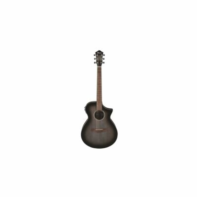 IBANEZ AEWC11-TCB | eBay