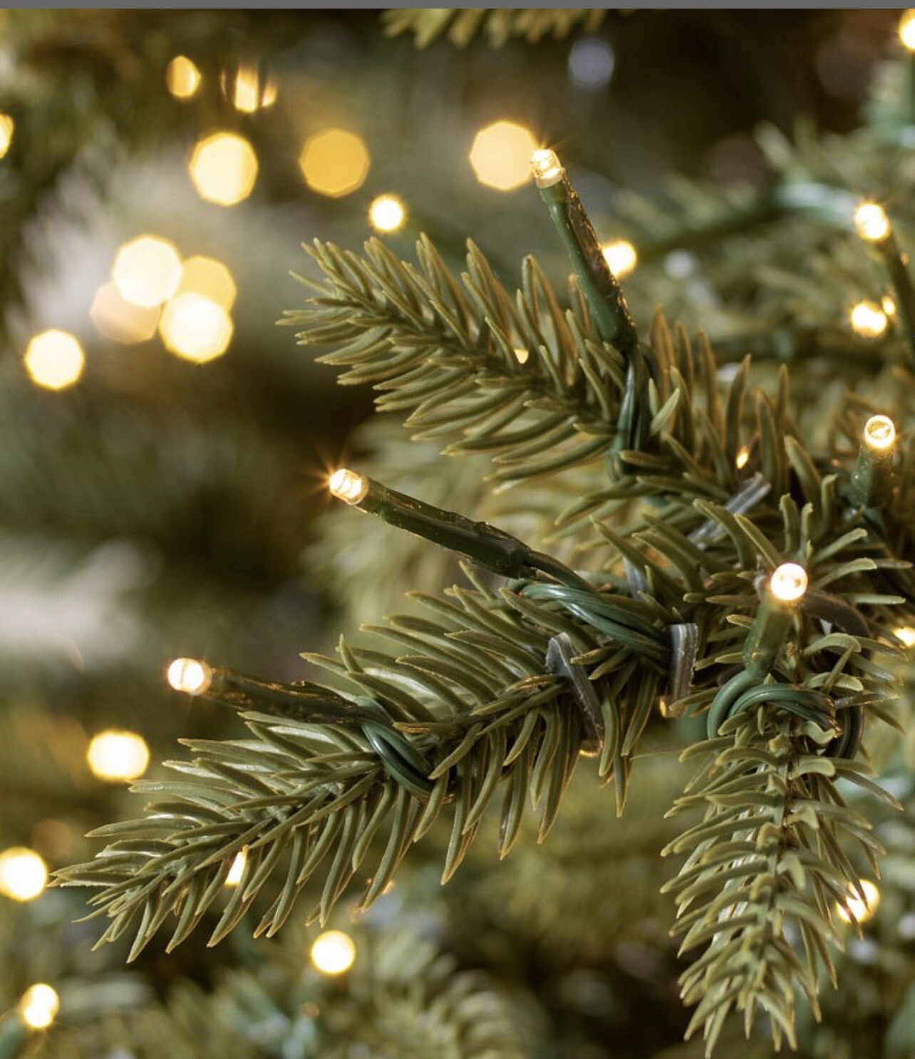 christmas tree 7 Ft Balsam Hill Silverado Slim Candlelight Clear LED