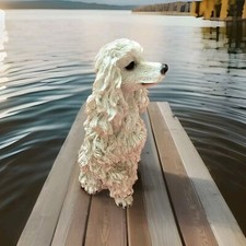 Joli caniche royal de collection 🐕