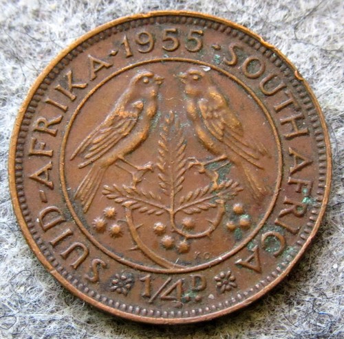 SOUTH AFRICA ELIZABETH II 1955 1/4 PENNY, CAPE SPARROWS ON ACACIA BRANCH - Picture 3 of 6