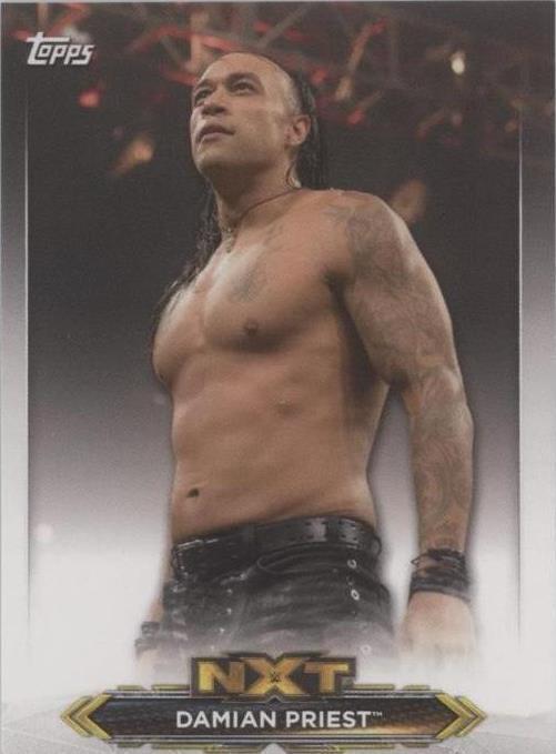 2020 Topps WWE NXT - Damian Priest #NXT-13 - 1 of 1