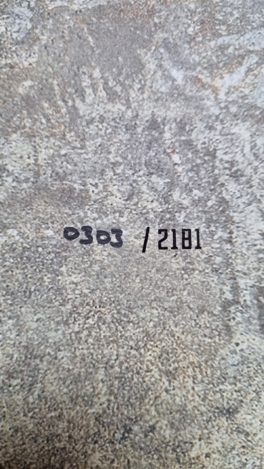 Bild 13 von 22