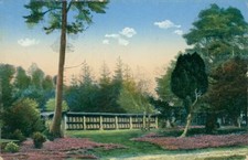 Ansichtskarte Lüneburger Heide Bienenstand (Nr.9267)