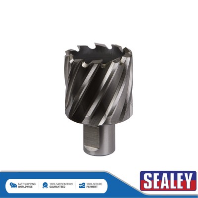 Sealey Worksafe �� 40 mm HSS Mag Bohrer Schnitttiefe 25 mm RBHSS40S