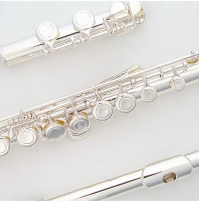 NEW WITH WARRANTY - Gemeinhardt 2SP Flute with hard case