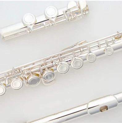 NEW WITH WARRANTY - Gemeinhardt 2SP Flute with hard case