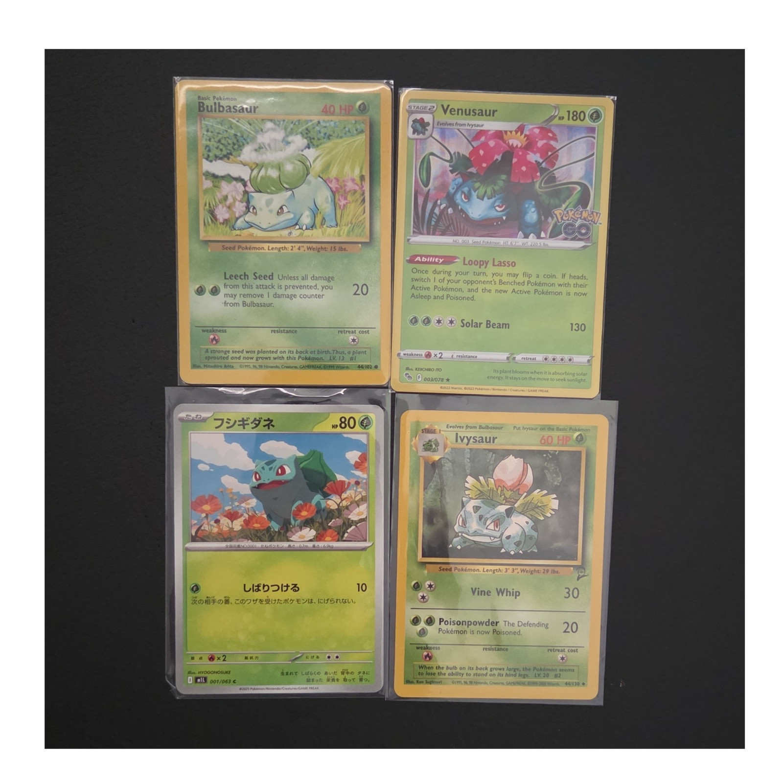 Pokémon Bulbasaur Ivysaur Venusaur Pokémon GO Set
